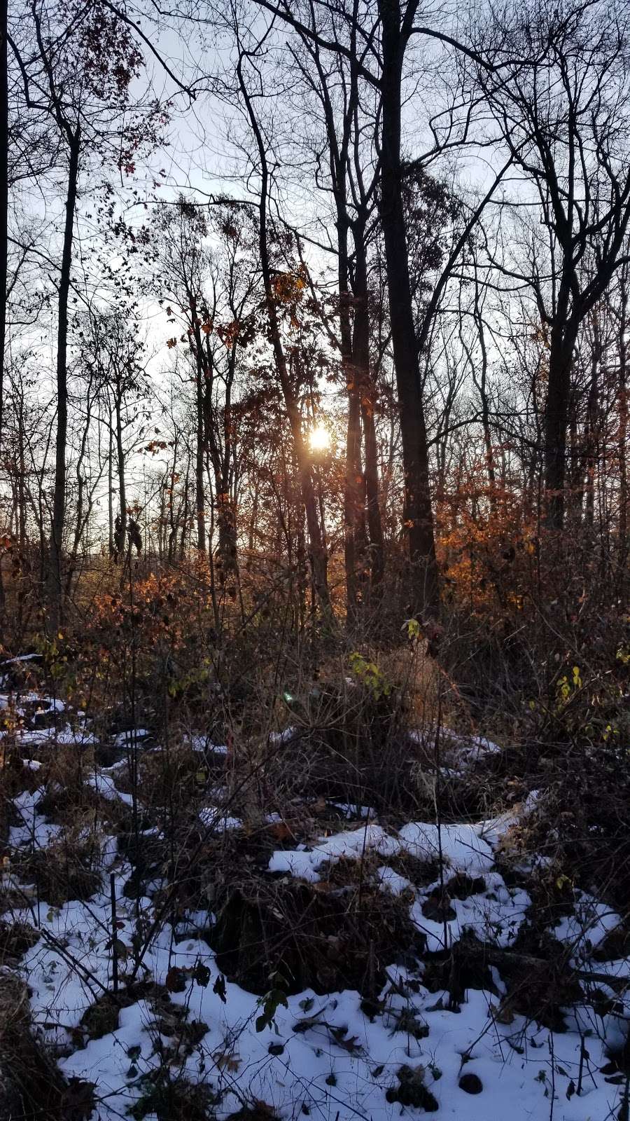 State Game Lands 56 | Upper Black Eddy, PA 18972, USA