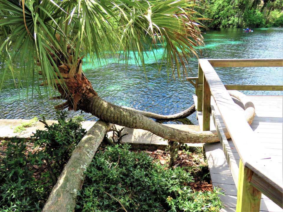 Juniper Springs Recreation Area | Florida, USA