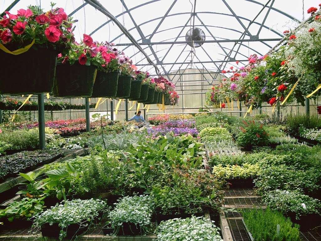 Abernethy & Spencer Greenhouse and Garden Center | 18035 Lincoln Rd, Purcellville, VA 20132 | Phone: (540) 338-9118