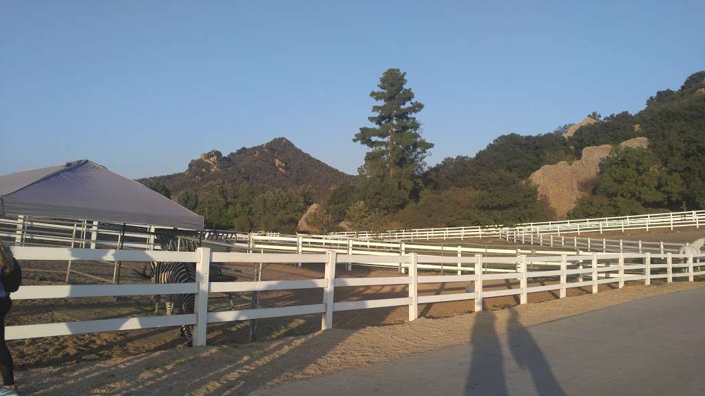 Malibu Wine Hikes | 32111 Mulholland Hwy, Malibu, CA 90265, USA | Phone: (424) 346-0041