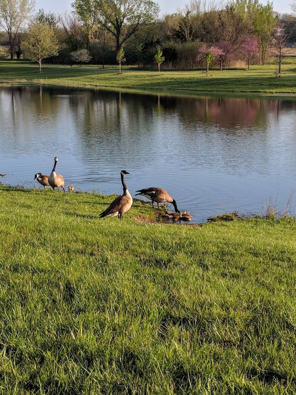 Rotary Arboretum | 5100 W 27th St, Lawrence, KS 66047, USA | Phone: (785) 832-3450