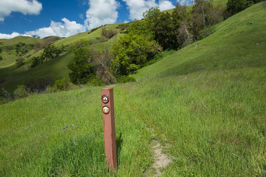 Sycamore Camp | Ohlone Wilderness Trail, Sunol, CA 94586, USA