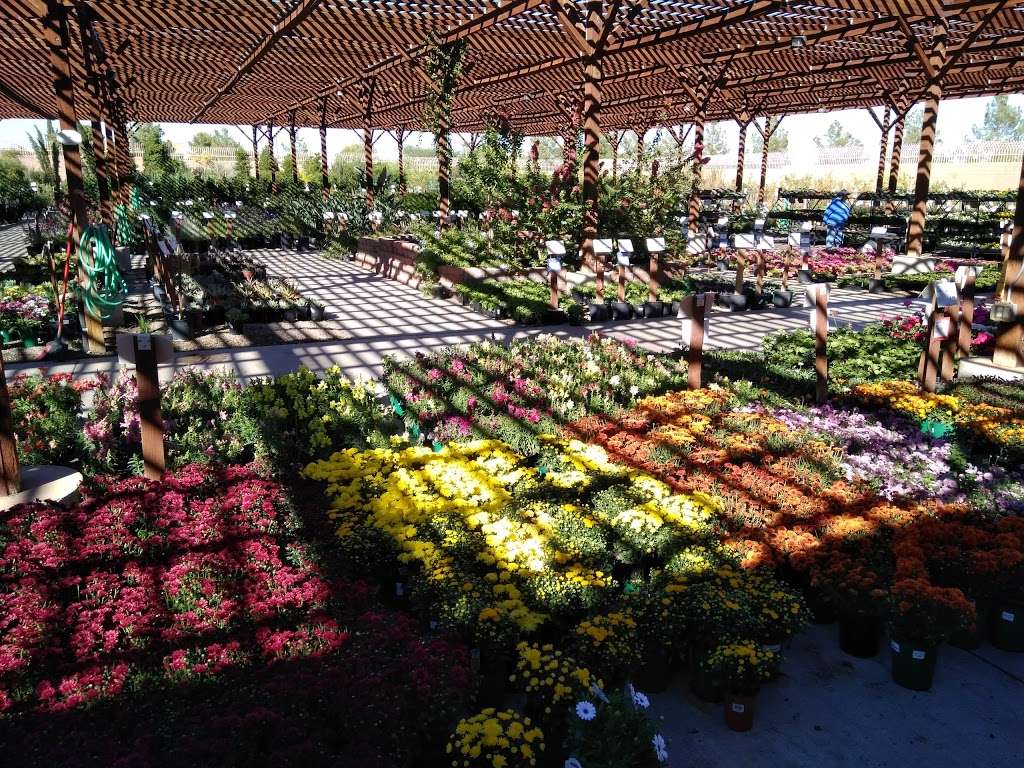 Star Nursery Inc 7581, 5380 Blue Diamond Rd, Las Vegas, NV 89139