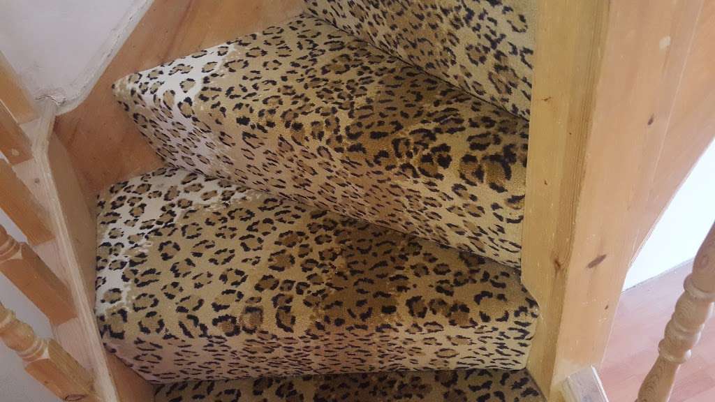 Animal Print Carpets | 928 High Rd, London N12 9RW, UK | Phone: 0800 026 8800