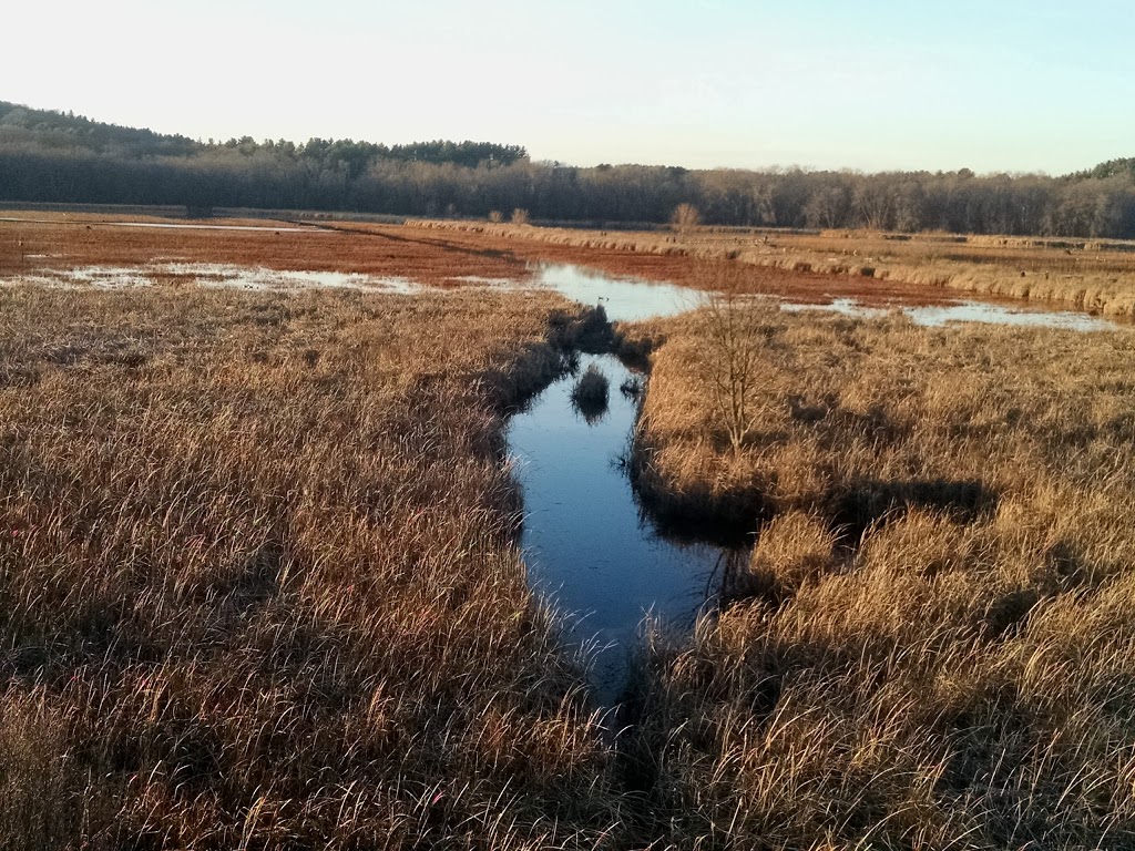 Great Meadows National Wildlife Refuge | 73 Weir Hill Rd, Sudbury, MA 01776, USA | Phone: (978) 443-4661