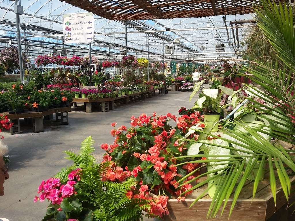 Esbenshades Garden Centers & Greenhouse | 1749 Bowmansville Rd, Mohnton, PA 19540, USA | Phone: (717) 445-6055