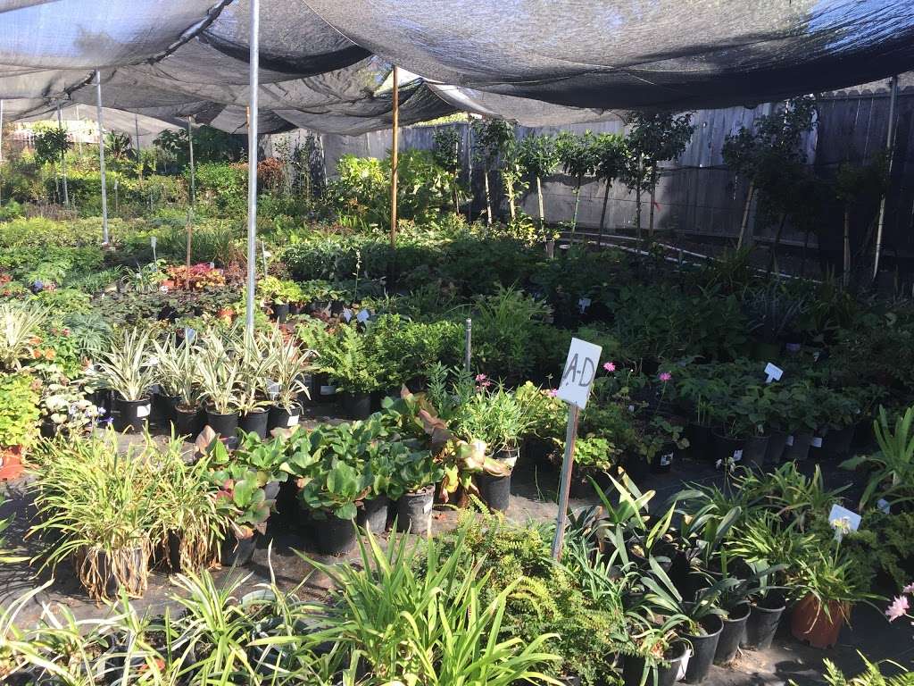 Capitol Wholesale Nursery, Inc. | 2938 Everdale Dr, San Jose, CA 95148, USA | Phone: (408) 239-0589