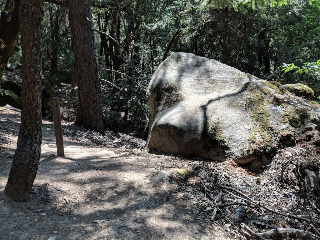 Castle Rock Trail | Castle Rock Trail, Los Gatos, CA 95033