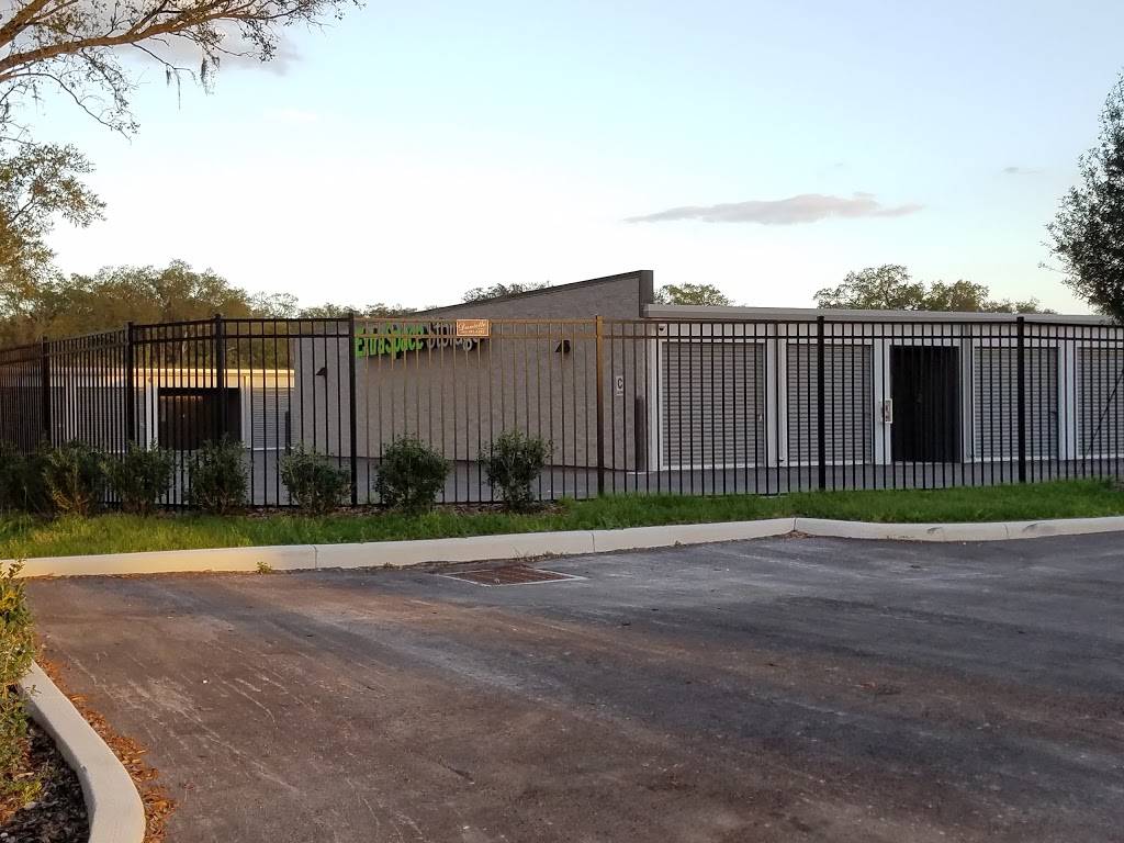 Extra Space Storage | 9343 E Fowler Ave, Thonotosassa, FL 33592, USA | Phone: (813) 502-1550