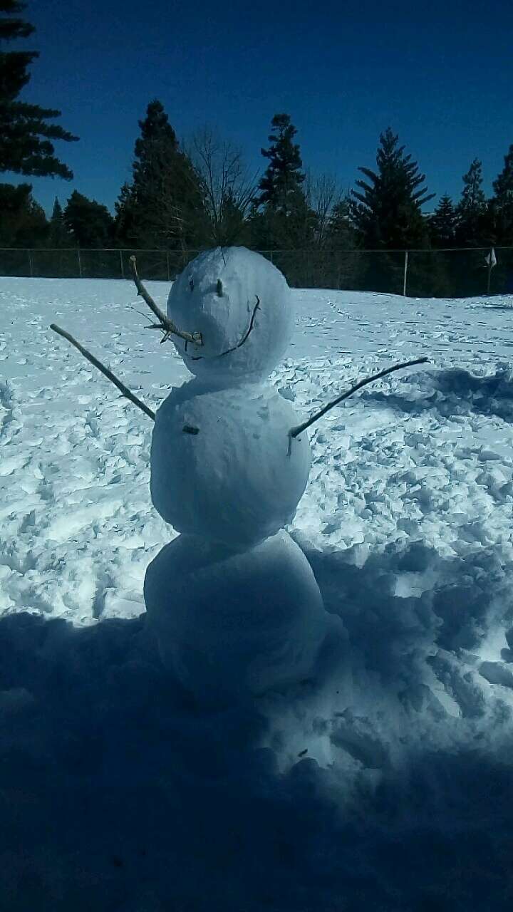 Harich Field Rim Of The World Mountains little League | 675 Grandview Rd, Twin Peaks, CA 92391, USA