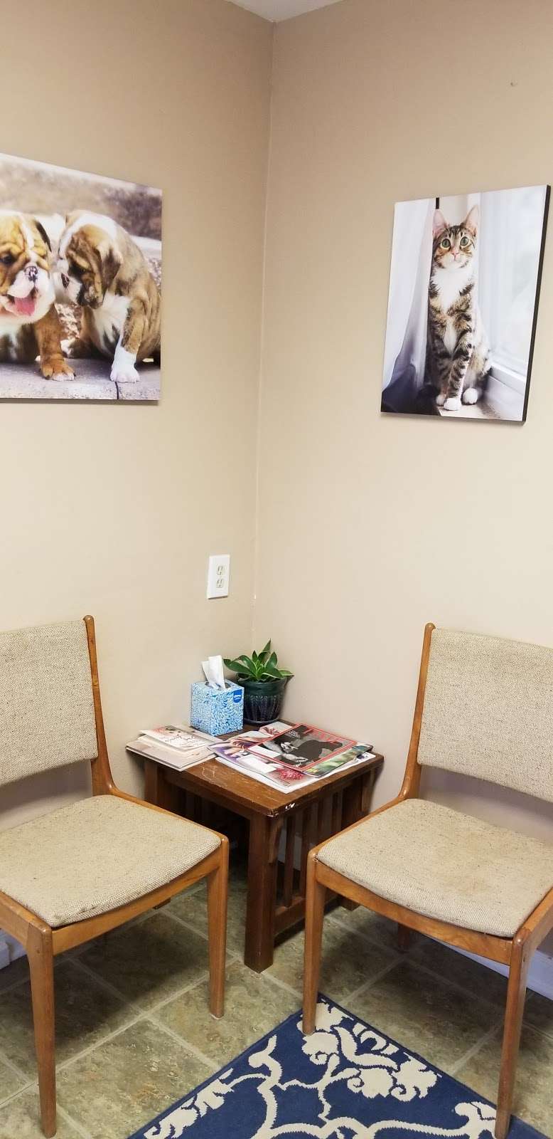 Homeward Bound Animal Hospital | 7521 Indiana St, Arvada, CO 80007 | Phone: (303) 981-4663