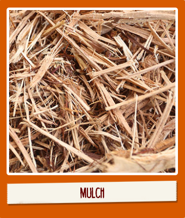 Quality Organic Products | San Antonio Topsoil, Mulch, Mixed Soi | 15497 Lookout Rd, Selma, TX 78154, USA | Phone: (210) 651-0200