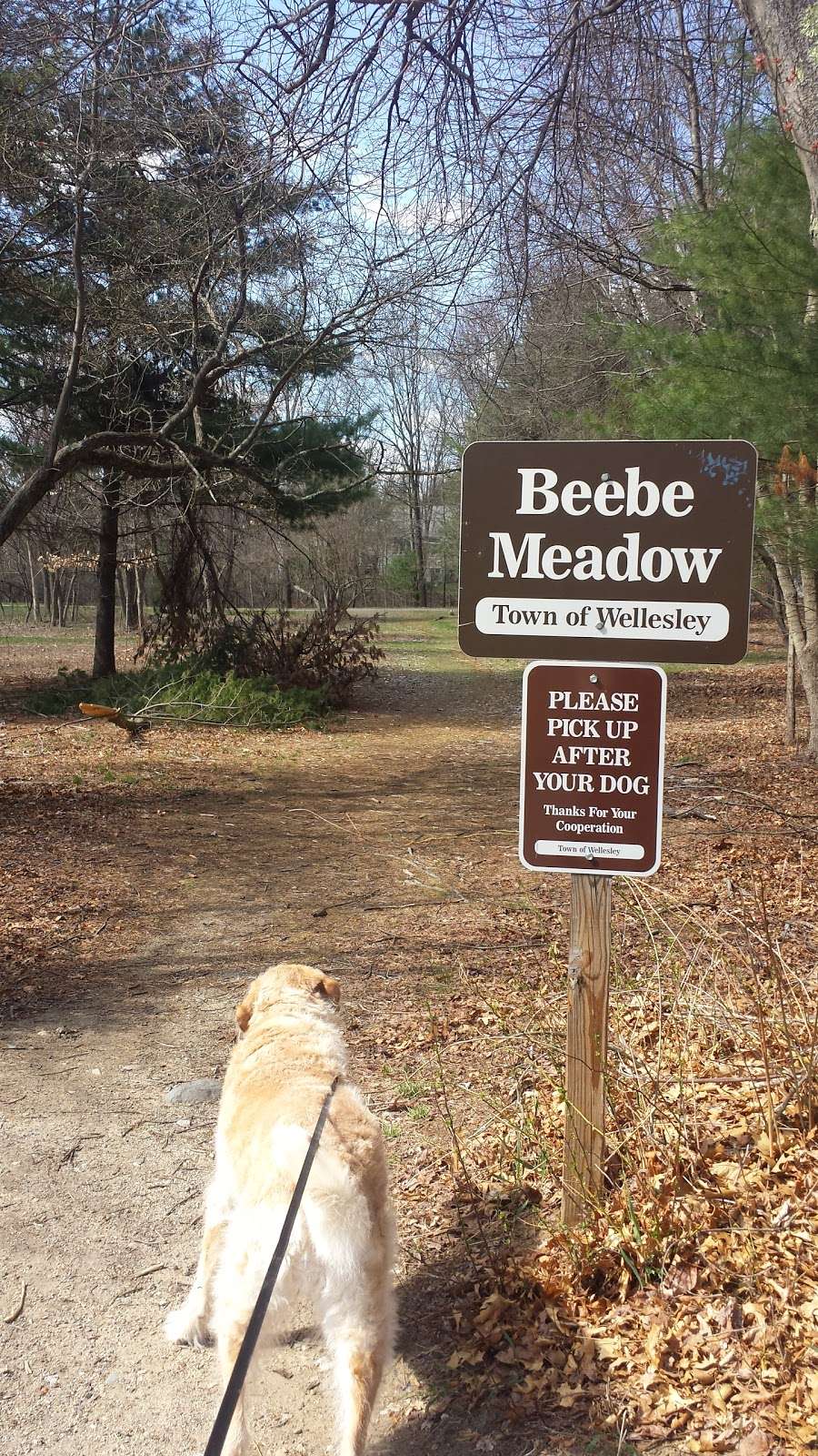 Beebe Meadow | Wellesley, MA 02482, USA