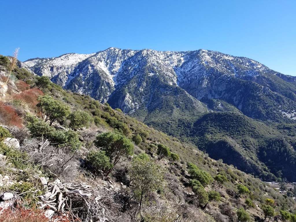 Bear Flat | Mt Baldy, CA 91759, USA