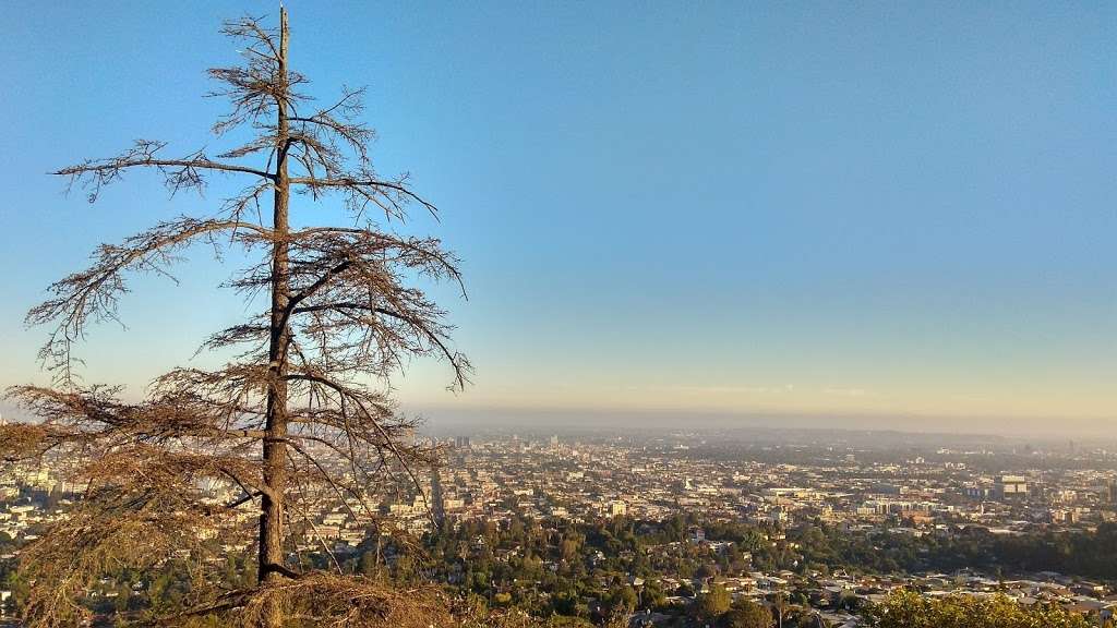 Ferndell Trail | Fern Dell Dr, Los Angeles, CA 90027, USA