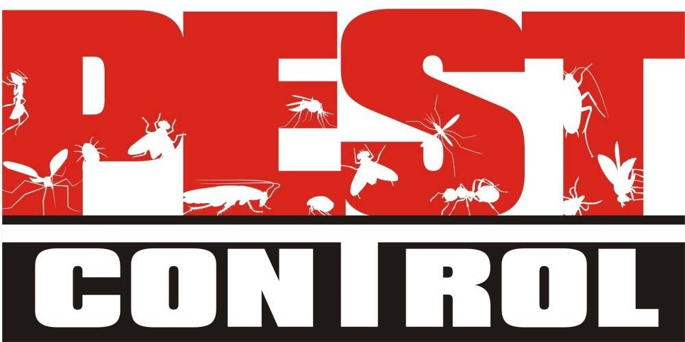 Pest Control Solutions Mosquito Flea Roaches Rodent Bed Bug Cont | 4616 Bayou Des Familles Dr, Marrero, LA 70072, USA | Phone: (504) 333-2167