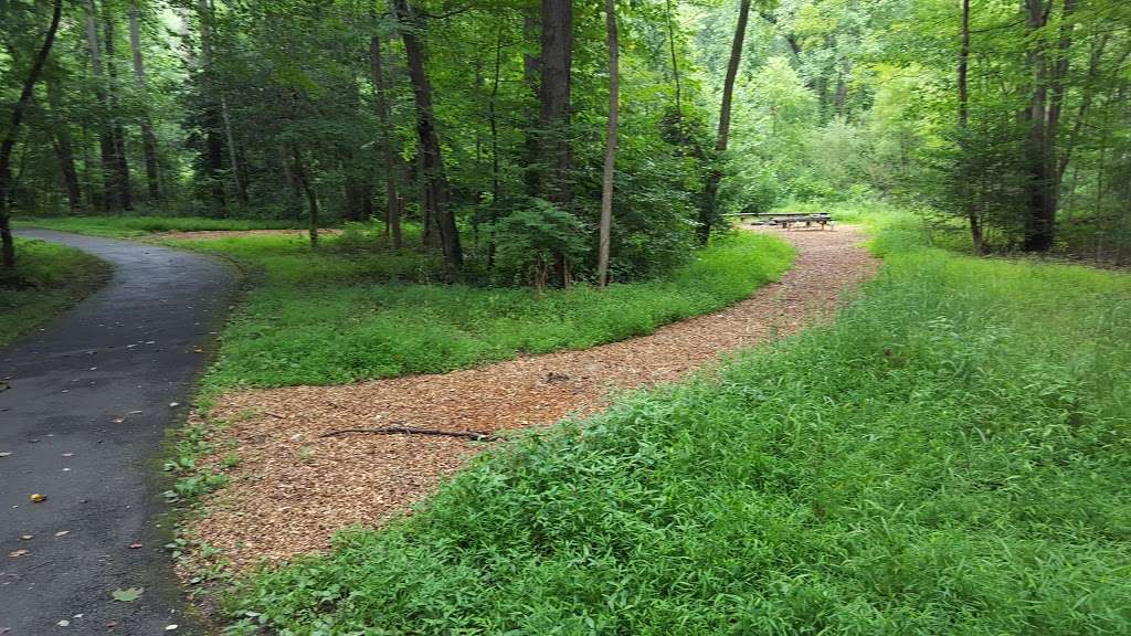 Walker Nature Center Campfire Ring | The Turquoise Trail, Reston, VA 20191