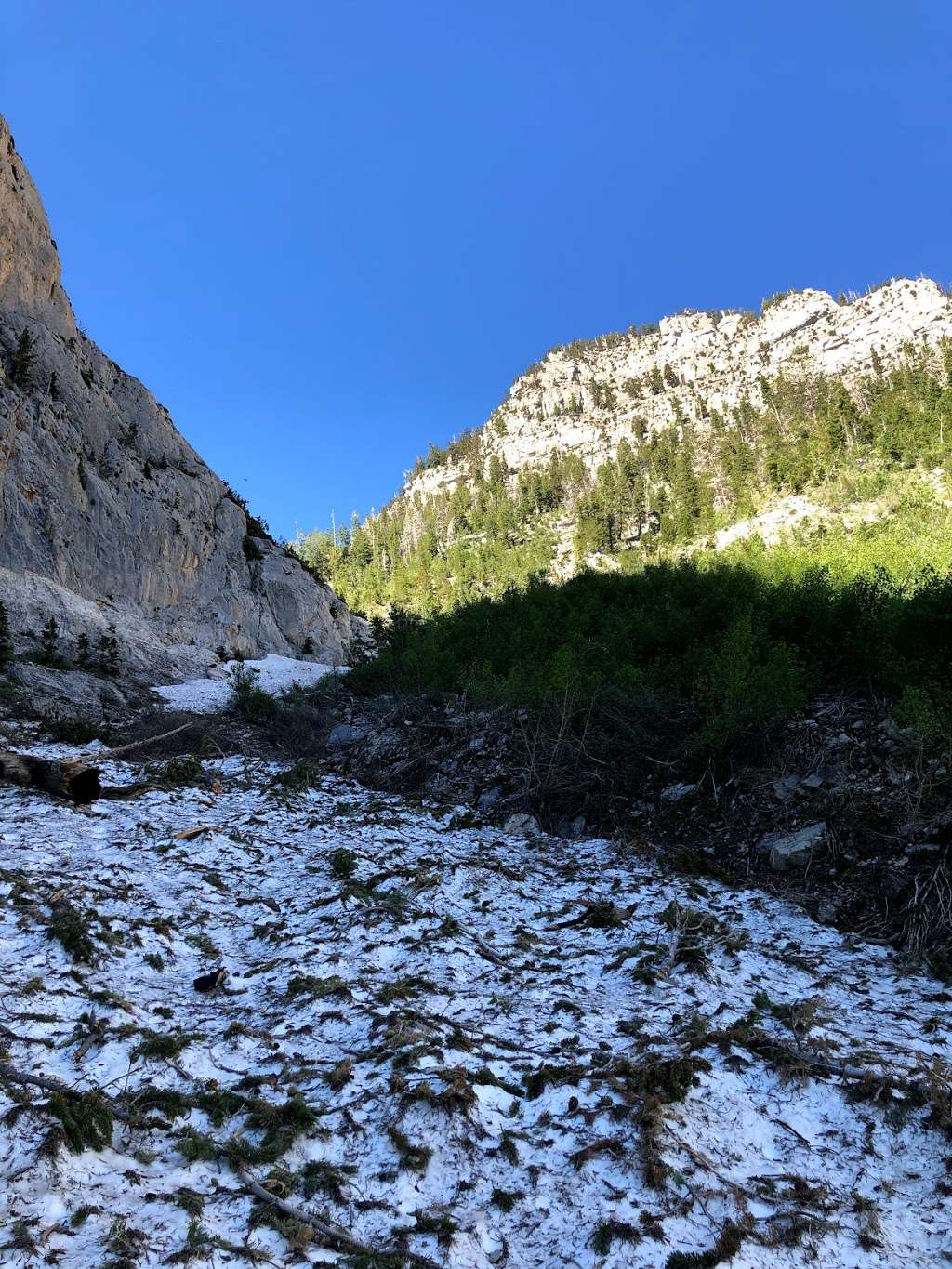 Echo Overlook | South Loop, Mt Charleston, NV 89124, USA