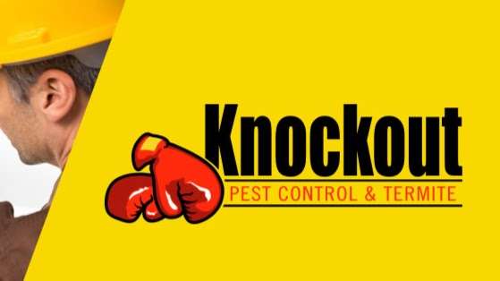 Knockout Pest Control & Termite | 31805 Temecula Pkwy Suite 639, Temecula, CA 92592, USA | Phone: (951) 302-4990