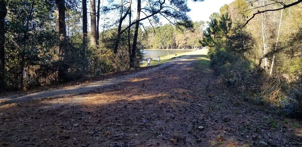 Lone Star Hiking Trail - Big Creek Primitive Campsite | Coldspring, TX 77331, USA | Phone: (936) 344-6205