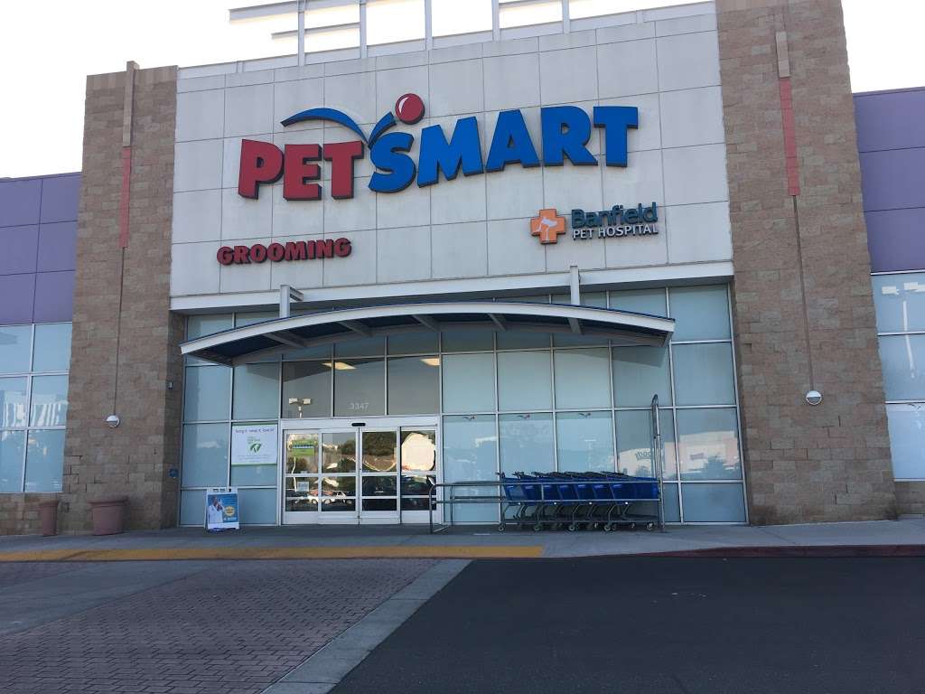 PetSmart | 3347 E Foothill Blvd, Pasadena, CA 91107, USA | Phone: (626) 351-8434