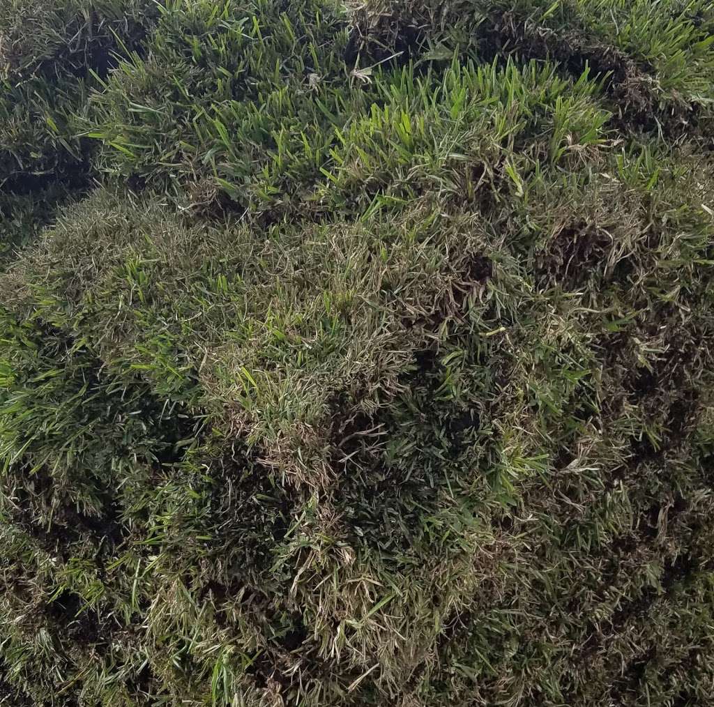 PALM BEACH SOD AND SUPPLY | 6501 S Military Trail, Lake Worth, FL 33463 | Phone: (561) 623-8811