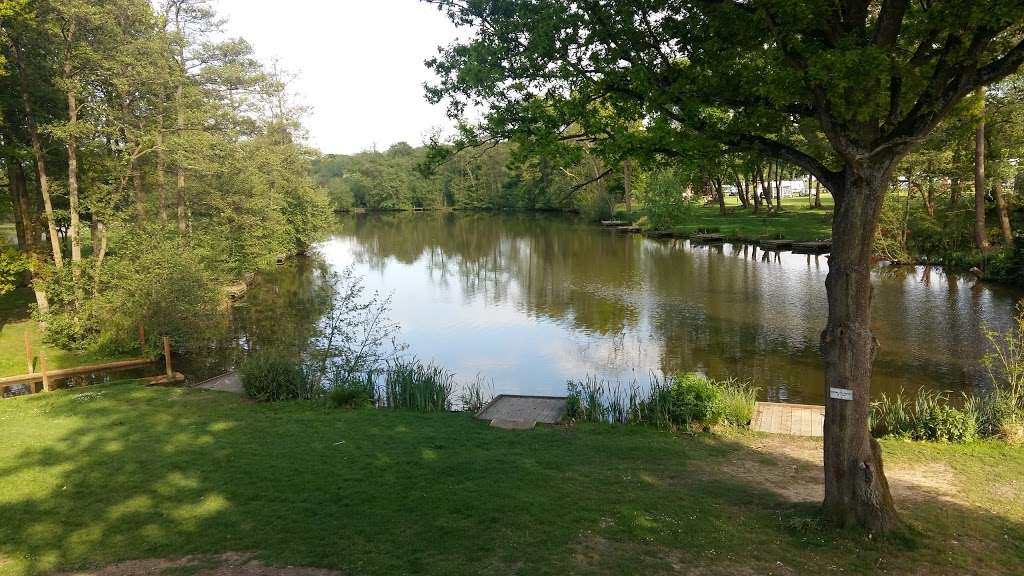 Henfold Lakes Fishery and Caravan Park | Henfold Lane, Beare Green, Dorking RH5 4RW, UK | Phone: 01306 883346