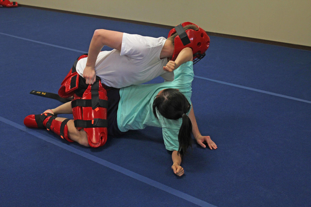Global Martial Arts Academy | 410 Meadow Creek Dr, Westminster, MD 21158, USA | Phone: (410) 751-5425