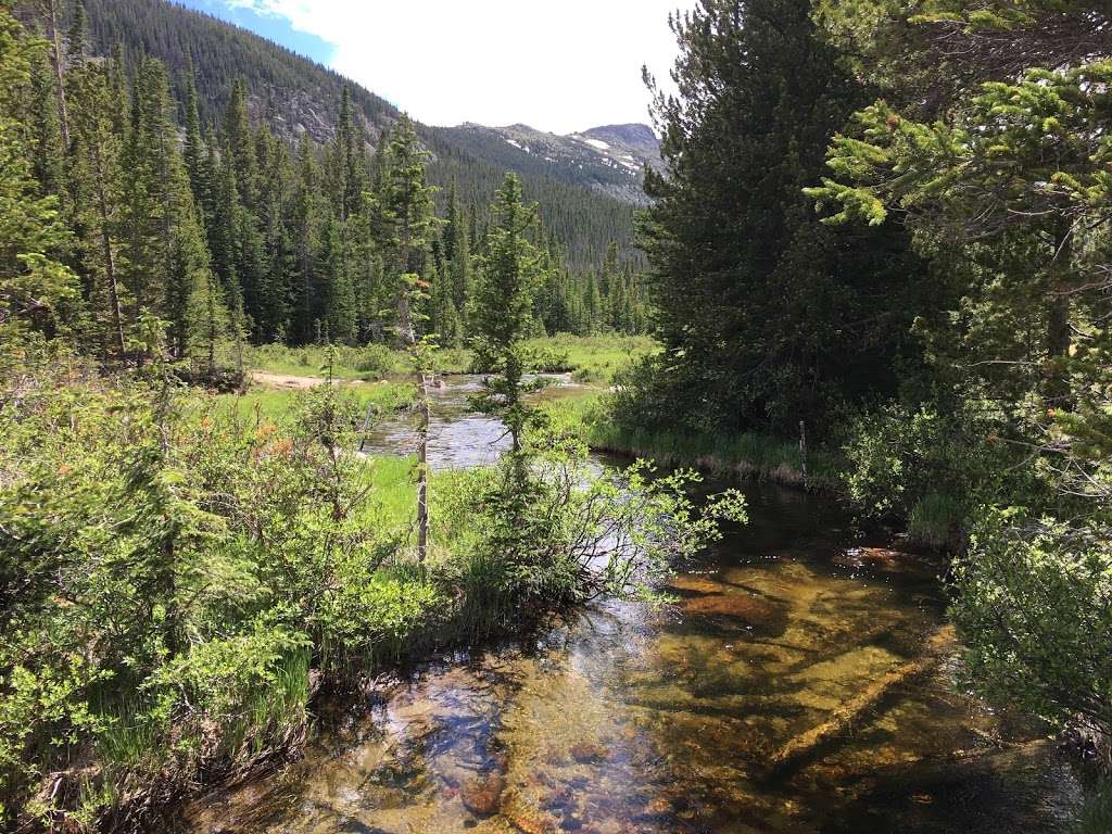 meadow trail | Cirque Meadow Trail, Bellvue, CO 80512, USA