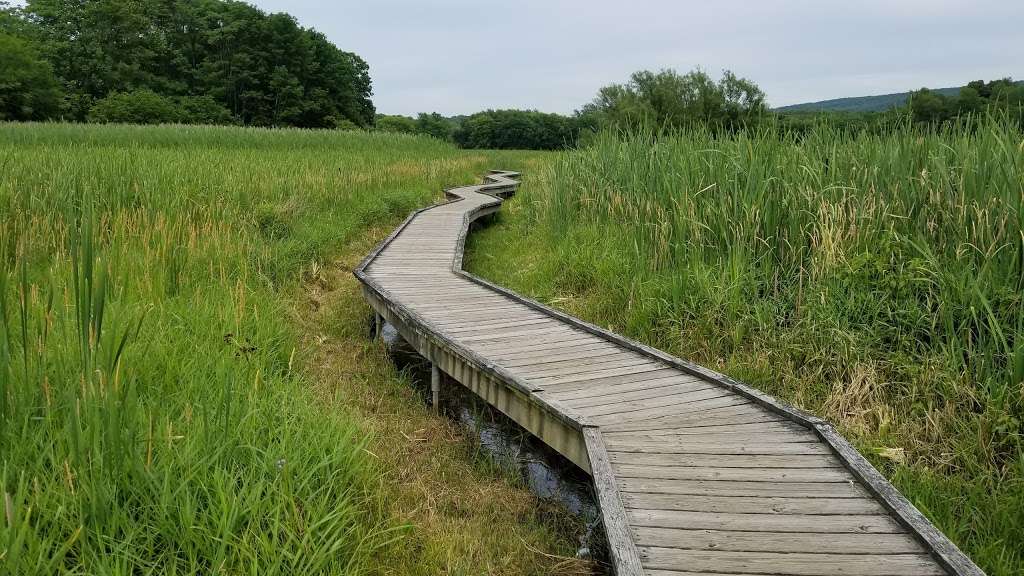 Appalachian Trail Boardwalk | Appalachian Trail, Glenwood, NJ 07418