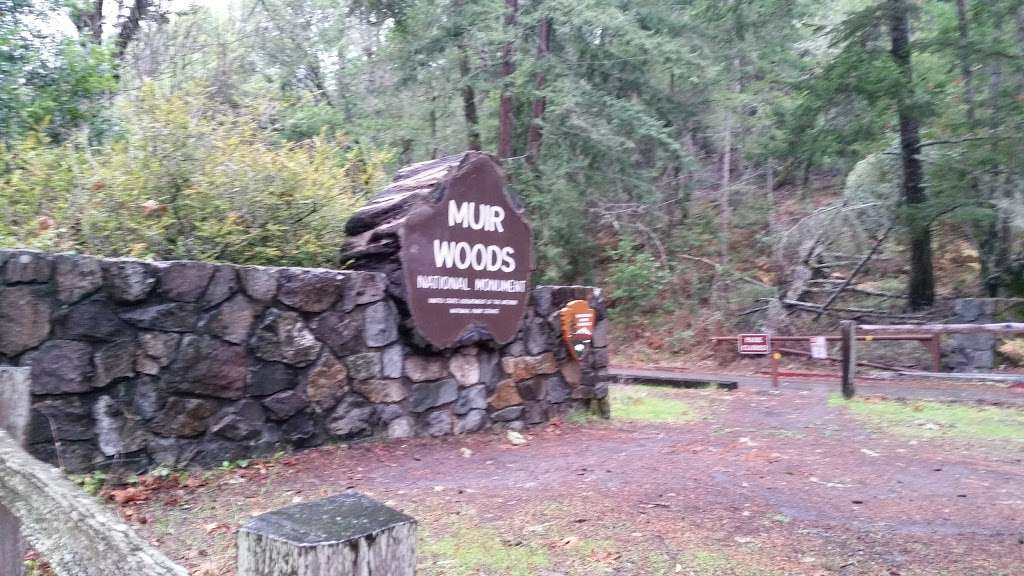 Muir Woods Visitor Center | 1 Muir Woods Rd, Mill Valley, CA 94941, USA | Phone: (415) 388-7368