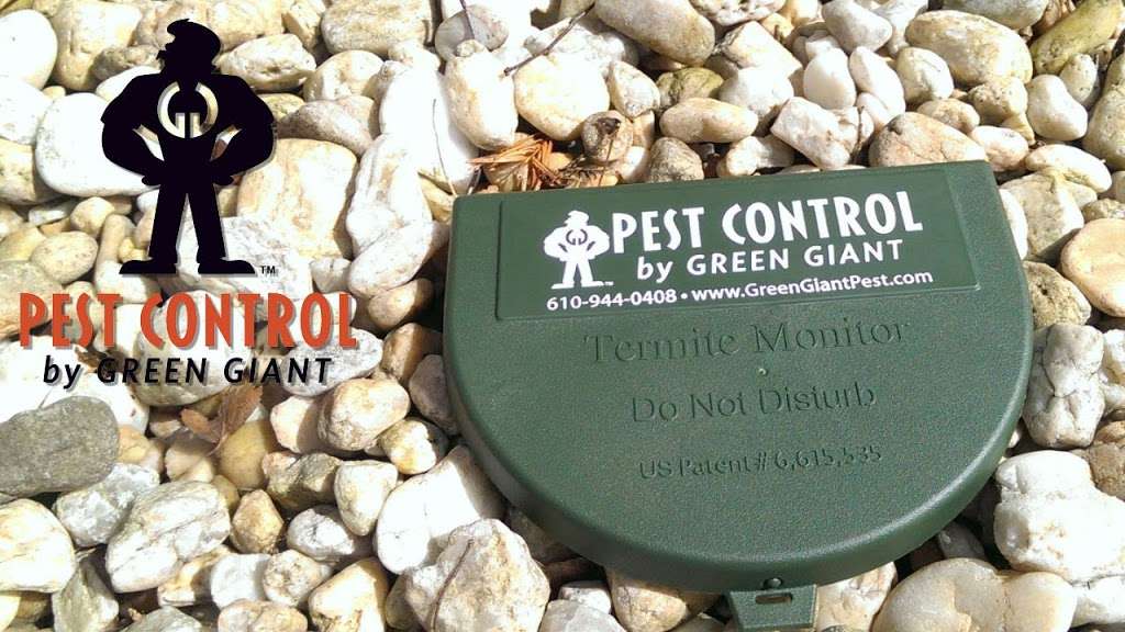 Green Giant Pest Control | 3 Cemetery Rd, Fleetwood, PA 19522 | Phone: (610) 944-0409