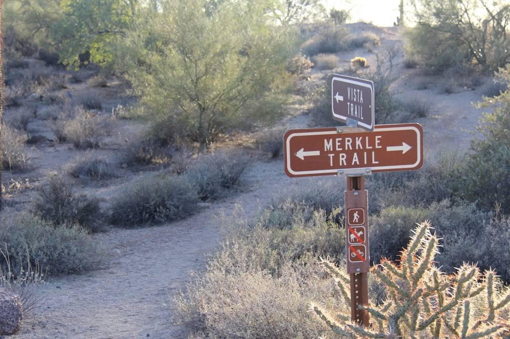 Merkle Trail | 3939 N Usery Pass Rd, Mesa, AZ 85207, USA | Phone: (480) 984-0032