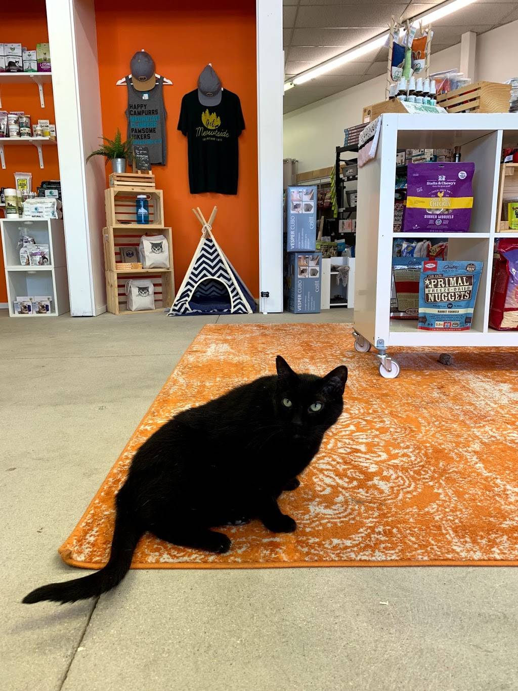 Just Cats Store | 7150 Leetsdale Dr Suite 402, Denver, CO 80224, USA | Phone: (720) 235-2724