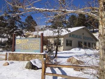 Beaver Brook Pet Center & Pet Lodge | 77 Elmgreen Ln, Evergreen, CO 80439, USA | Phone: (303) 670-0838