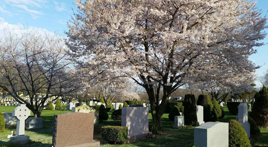 Saint Patricks Cemetery | Huntington Rd, Cold Spring Harbor, NY 11724 | Phone: (631) 385-3311