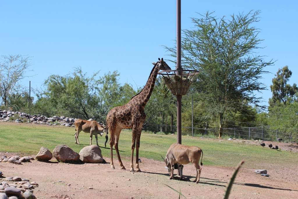 The Phoenix Zoo | Phoenix, AZ 85008, USA