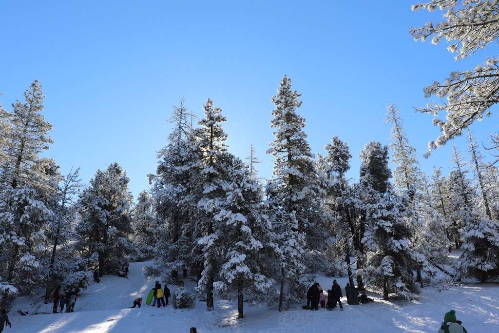 Saint Nichalos Campground | Frazier Park, CA 93225, USA