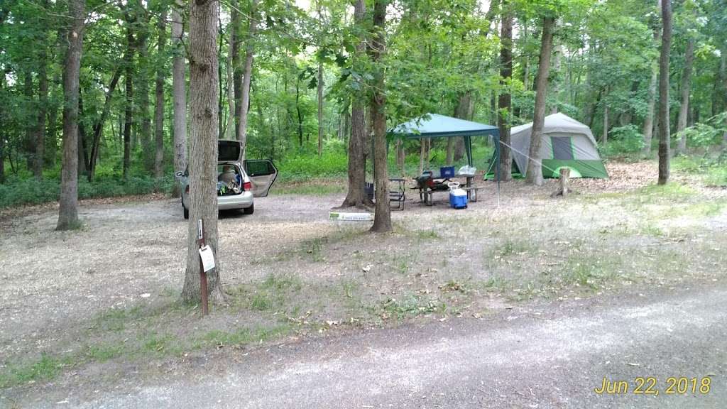 Allaire State Park Campground | Atlantic Ave, Howell, NJ 07731, USA | Phone: (732) 938-2371