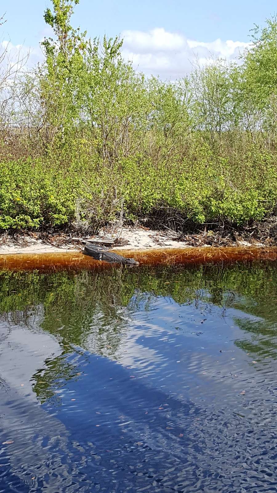 Spirit of the Swamp Airboat Rides | 2830 Neptune Rd, Kissimmee, FL 34744, USA | Phone: (321) 689-6893