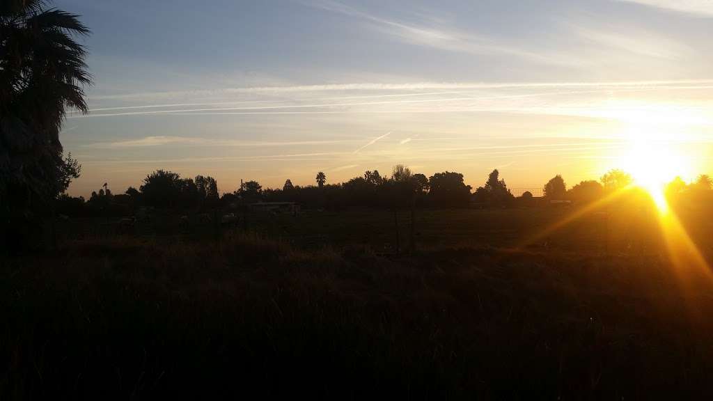 Georges Feed & Pet Supply | 1530 Humphrey Dr, Suisun City, CA 94585, USA | Phone: (707) 425-9642 Georges Feed & Pet Supply | 1530 Humphrey Dr, Suisun City, CA 94585, USA | Phone: (707) 425-9642