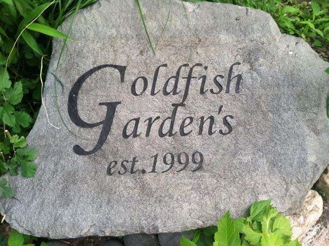 Goldfish Gardens | 750 N Rangeline Rd, Carmel, IN 46032, USA | Phone: (317) 361-9472