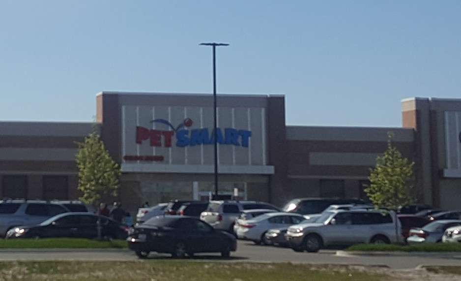 PetSmart | 4146 S Pulaski Rd, Chicago, IL 60632, USA | Phone: (773) 299-9611