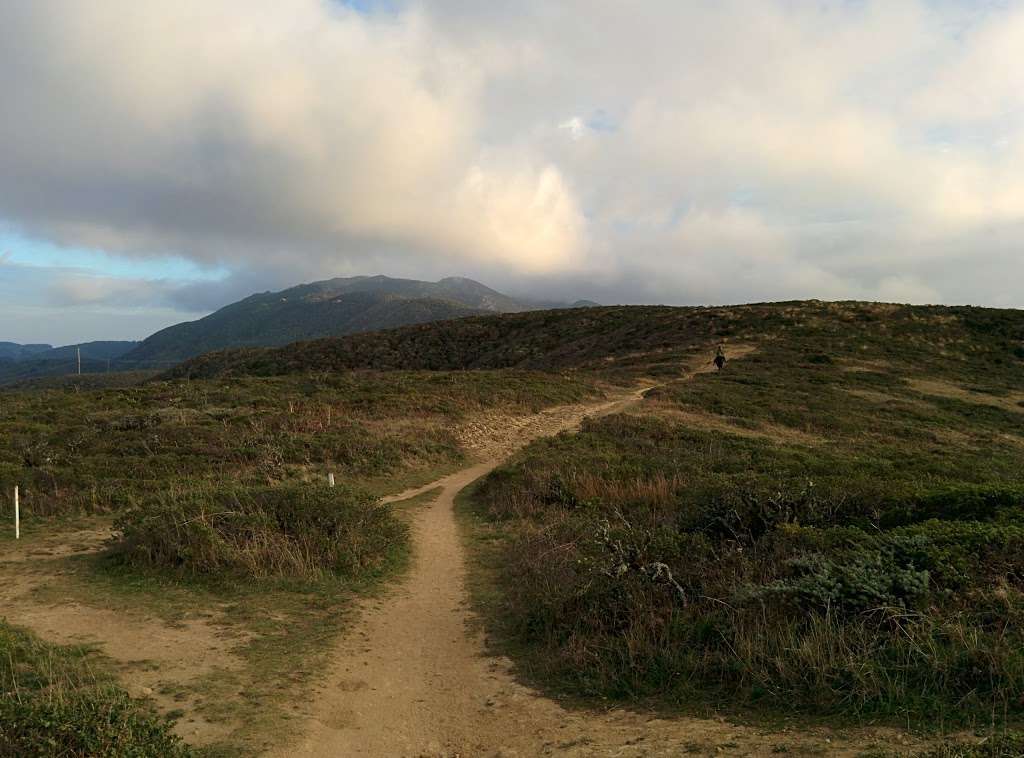 Two Pines | San Francisco Peninsula, California, Half Moon Bay, CA 94019, USA