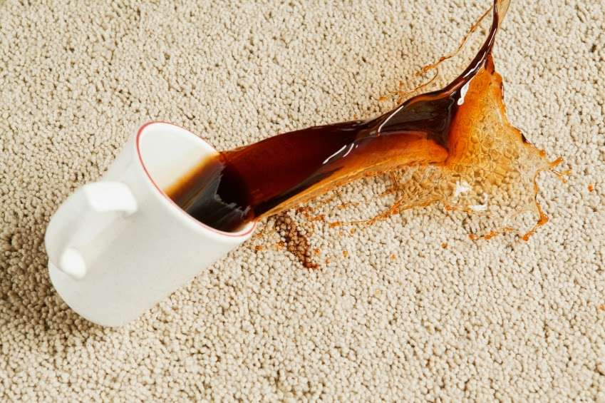 South Bay Carpet Cleaning | 509 N Elena Ave, Redondo Beach, CA 90277 | Phone: (310) 376-7655