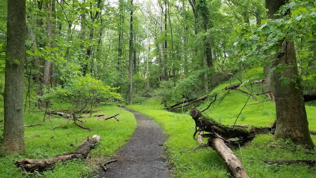 Daniels Area, Patapsco Valley State Park | 2090 Daniels Rd, Ellicott City, MD 21043, USA | Phone: (410) 461-5005