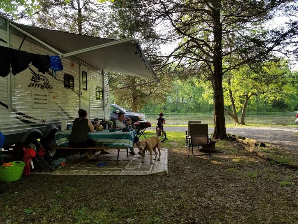 Colonial Woods Family Camping Resort | 545 Lonely Cottage Rd, Upper Black Eddy, PA 18972, USA | Phone: (610) 847-5808