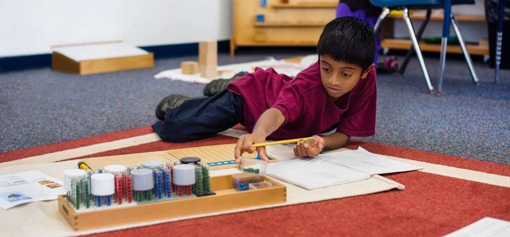 Montessori Country Day School | 72 Grovers Mill Rd, Plainsboro Township, NJ 08536, USA | Phone: (609) 799-7990