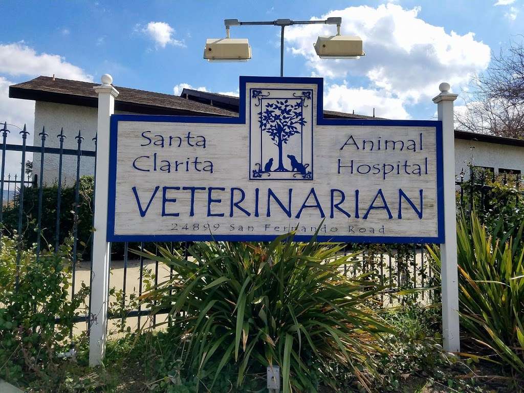 Santa Clarita Animal Hospital | 24899 Railroad Ave, Santa Clarita, CA 91321 | Phone: (661) 259-7387