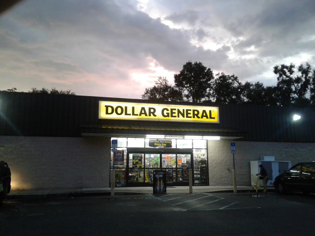 Dollar General | 24951 Co Rd 42, Paisley, FL 32767, USA | Phone: (352) 325-2207